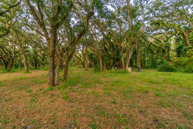 a view of yard with trees