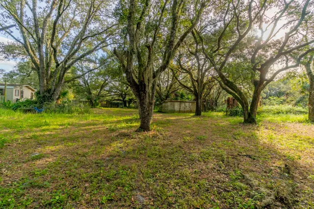 a view of a field with trees in the background