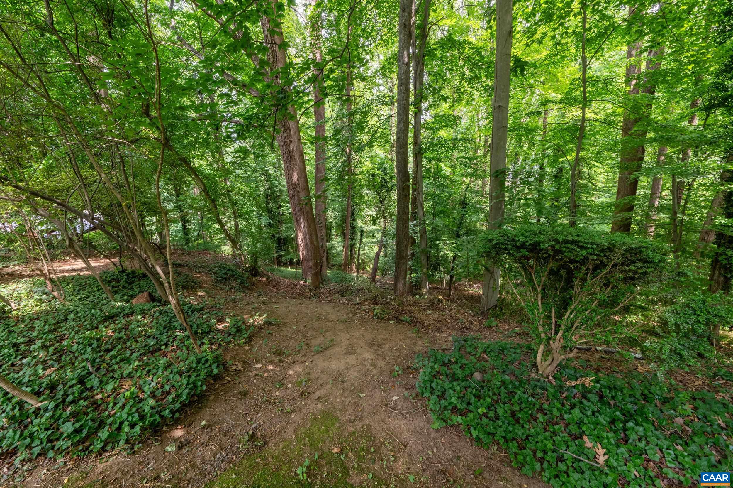 1933 Blue Ridge Road Charlottesville, VA 22903 - Photo 43 of 48