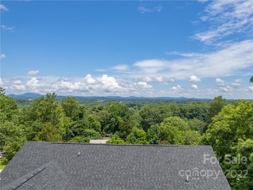 39 Hamilton Acrs Drive Tryon, NC 28782 - Photo 20 of 25 a view of a street view