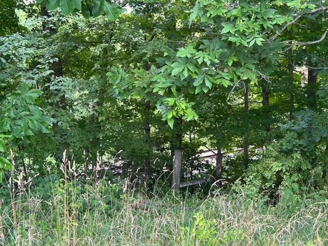 13015 Irvine Road Winchester, KY 40391 - Photo 18 of 19 IMG_3283