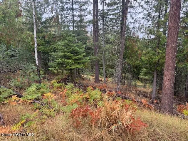 $139,500 | Nka Nka Parcel B, Pinehurst, ID 83850
