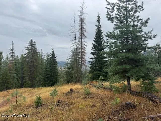 $139,500 | Nka Nka Parcel B, Pinehurst, ID 83850