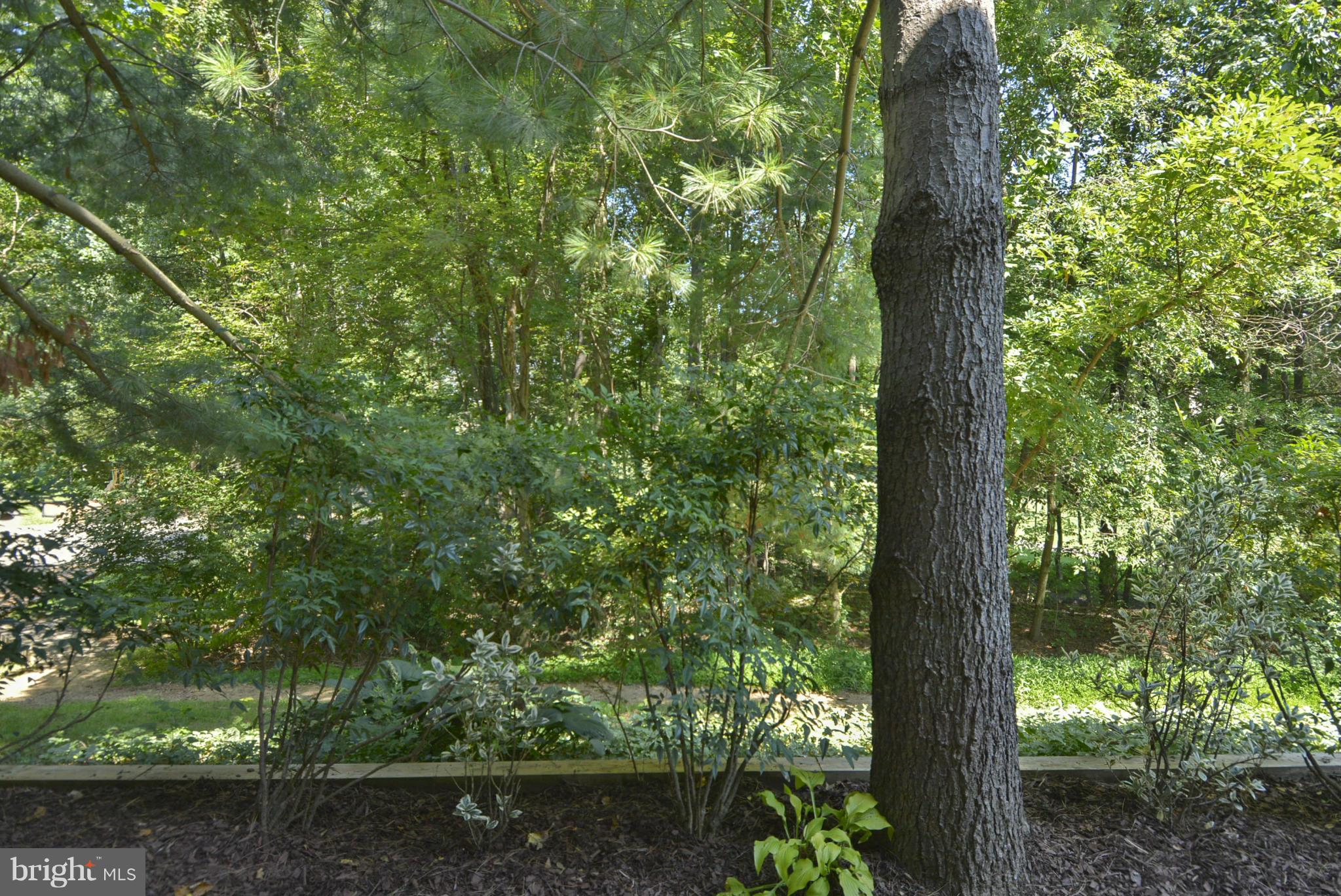 12010 Golf Ridge Court, Unit 102 Fairfax, VA 22033 - Photo 18 of 29 Rear view