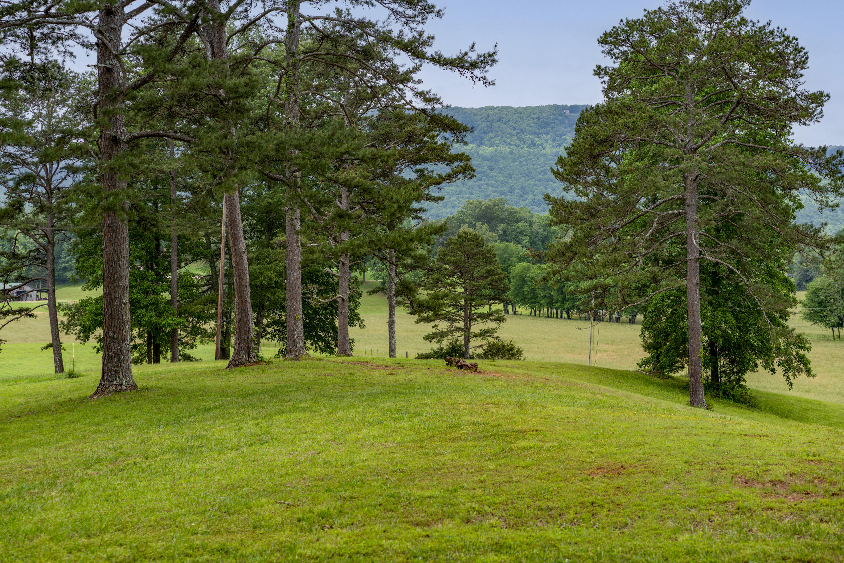 1395 Jones Crossing Road Whitwell, TN 37397 - Photo 81 of 120 _DSC0532-Edit