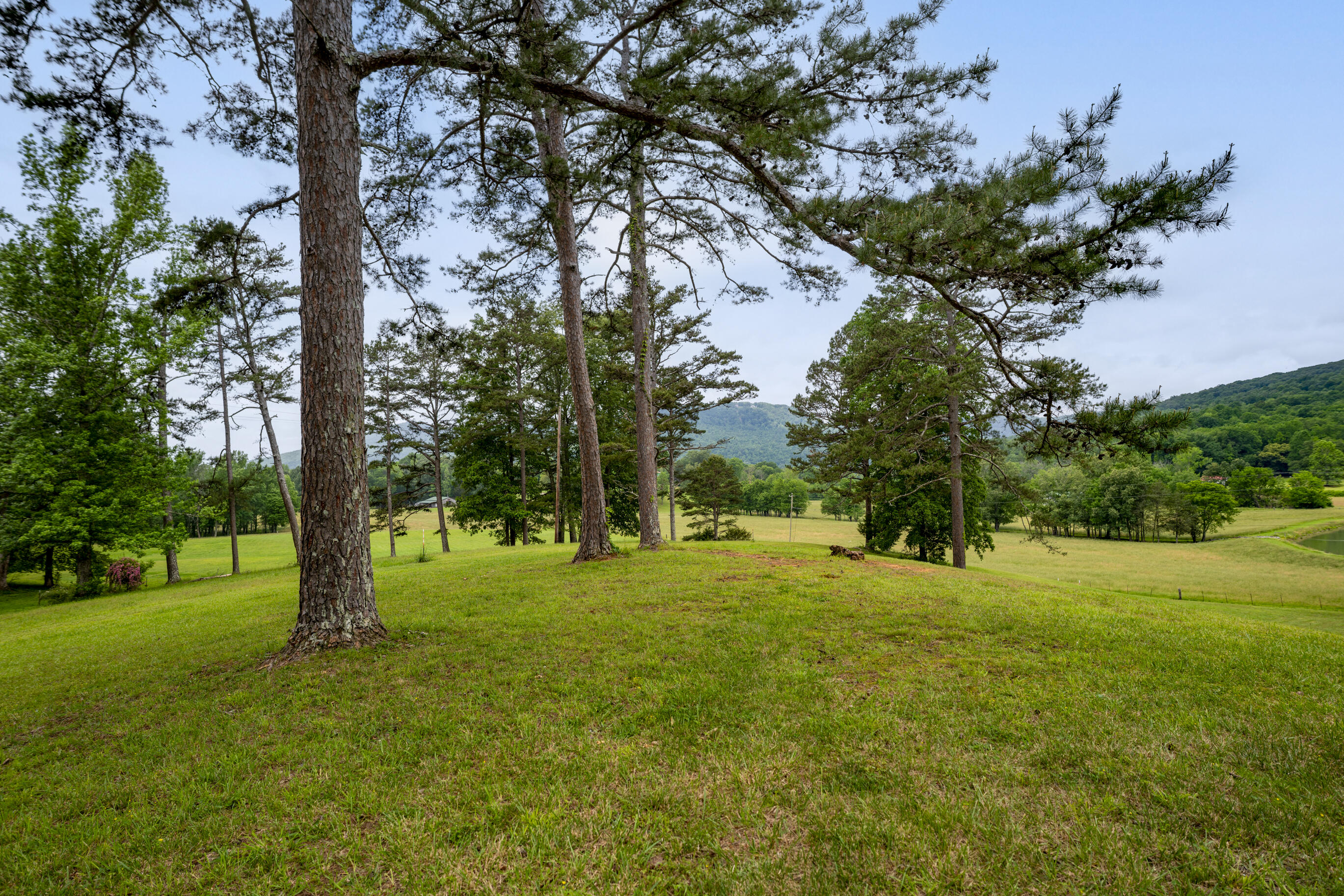 1395 Jones Crossing Road Whitwell, TN 37397 - Photo 83 of 120 _DSC0542-Edit