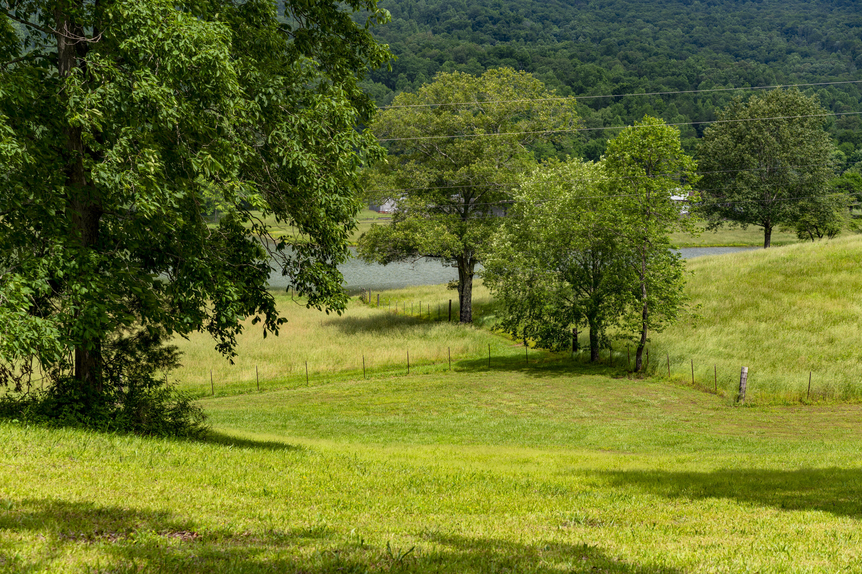 1395 Jones Crossing Road Whitwell, TN 37397 - Photo 90 of 120 _DSC0561-Edit