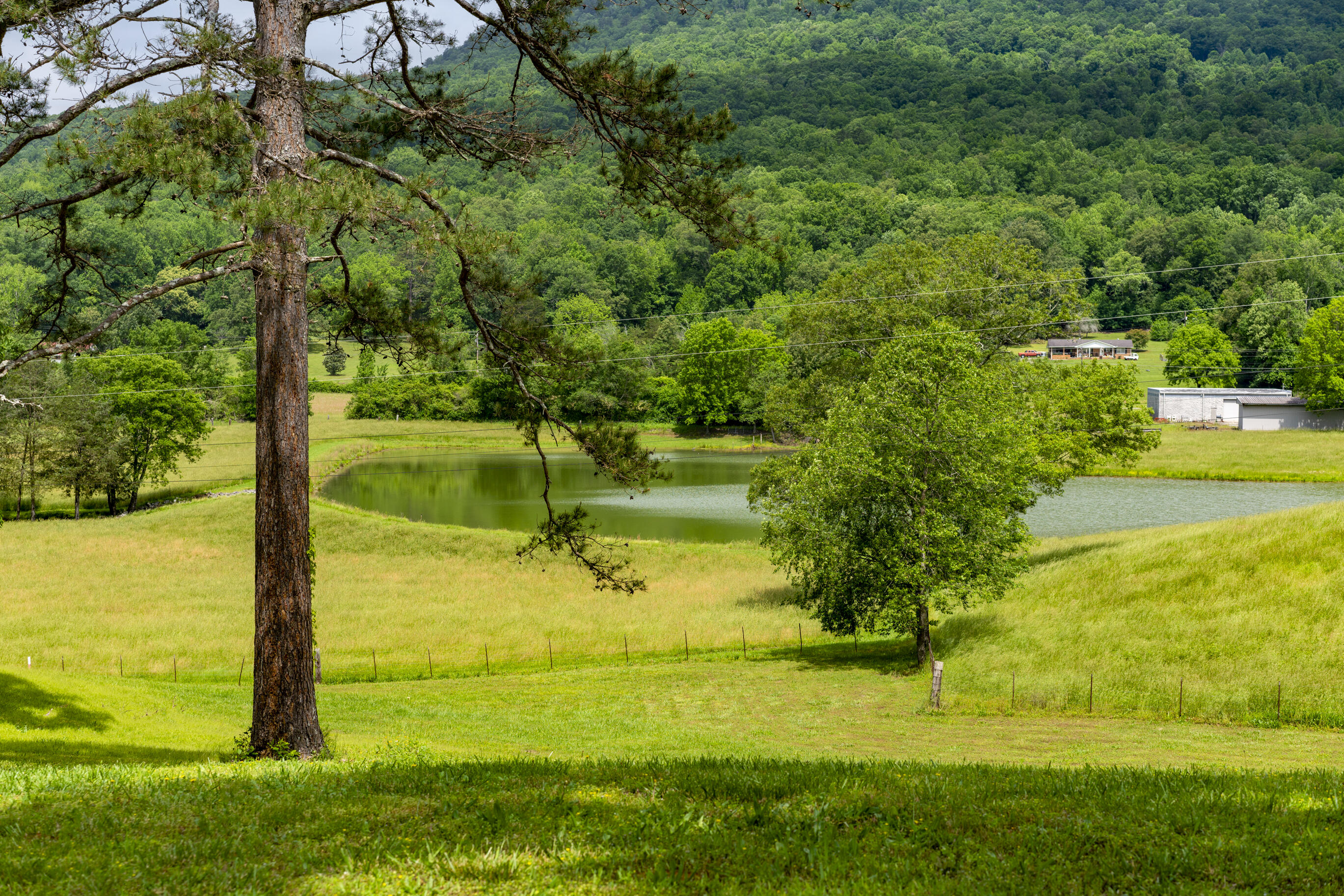 1395 Jones Crossing Road Whitwell, TN 37397 - Photo 92 of 120 _DSC0563-Edit