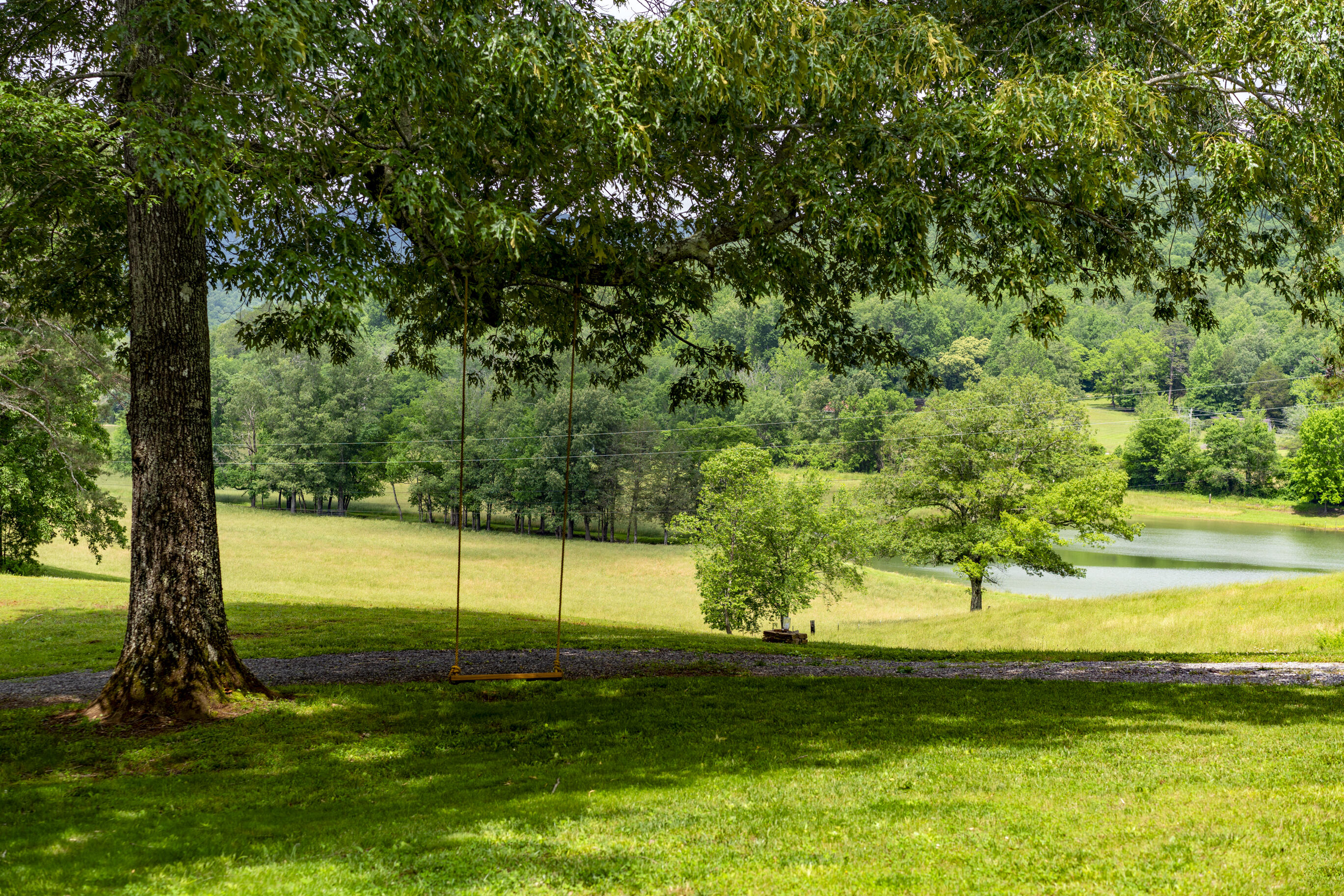 1395 Jones Crossing Road Whitwell, TN 37397 - Photo 95 of 120 _DSC0575-Edit
