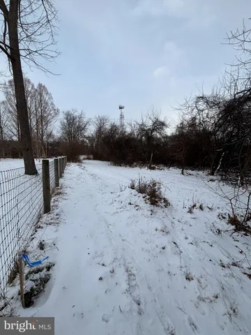 a view of dirt yard with a tree