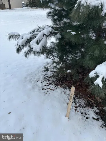 a view of a dry yard with lots of green space