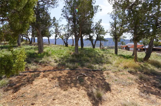 a view of backyard with trees