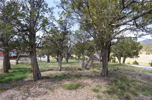 a view of a yard with a tree