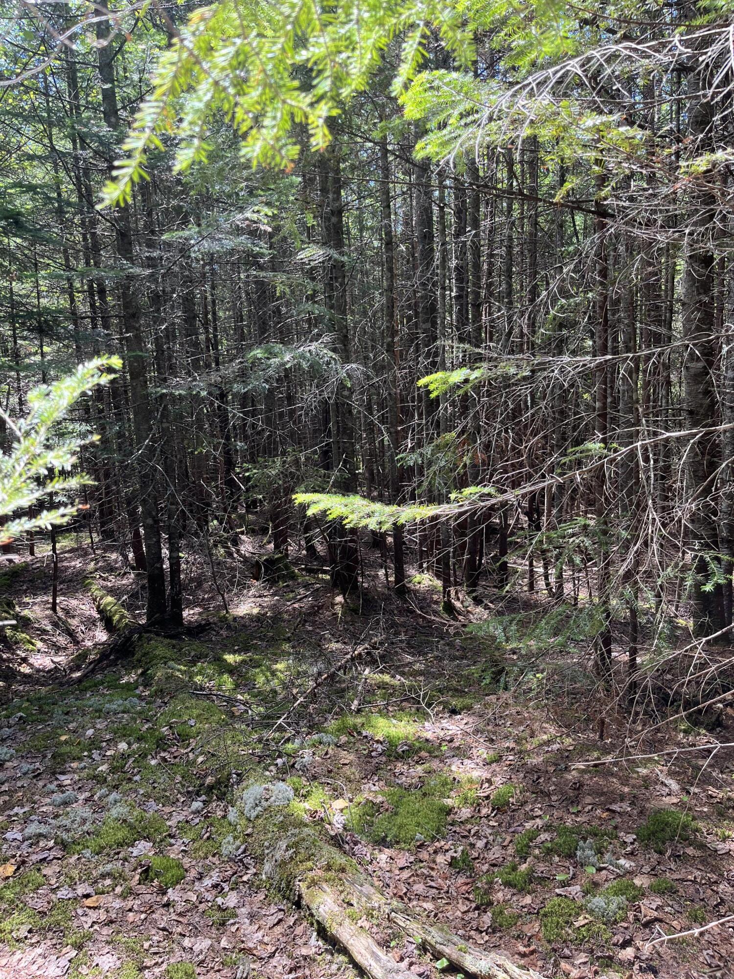 48 Ermine Road Sandy River Plt, ME 04970 - Photo 6 of 12 3378F7BF-D4BA-4FA8-83D0-3CF73A5F6413
