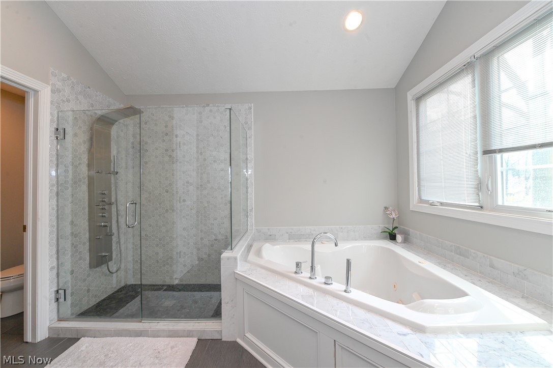 1688 Sheridan Road South Euclid, OH 44121 - Photo 36 of 48 Bathroom featuring lofted ceiling, separate shower and tub, and toilet
