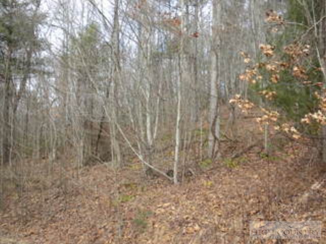 Lot 22 Rosa Road Warrensville, NC 28693 - Photo 4 of 5 a view of a dry yard with trees in the background