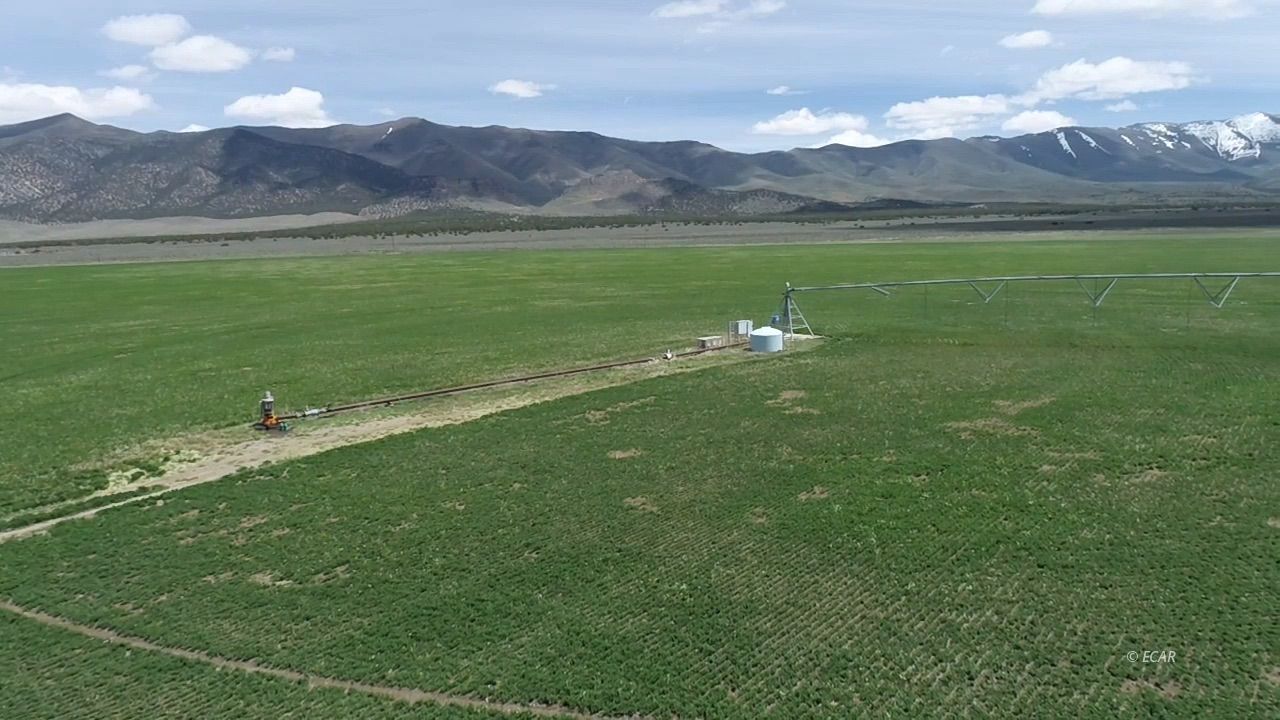 850 Diamond Foothill Road Eureka, NV 89316 - Photo 5 of 17