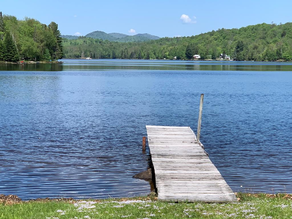 1188 Goodnow Flow Road Newcomb, NY 12852 - Photo 37 of 39 Gallery Image 37