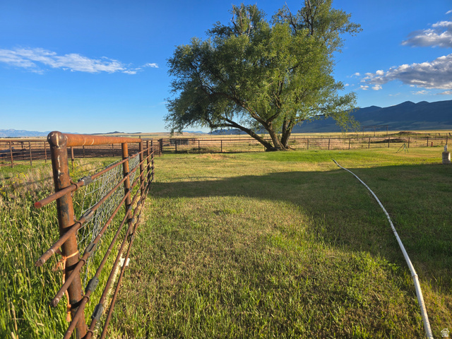 34200 Coulam Road Swan Lake, ID 83281 - Photo 4 of 24 Expansive green space featuring a large mature tree, a rustic metal fence, and a distant mountain range
