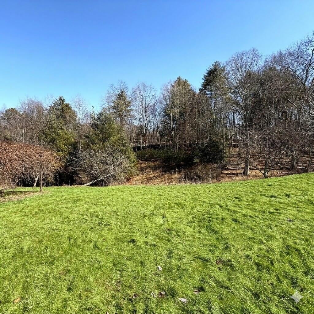 932 Old Buckeye Road Buckeye, WV 24924 - Photo 5 of 19 Pic 5