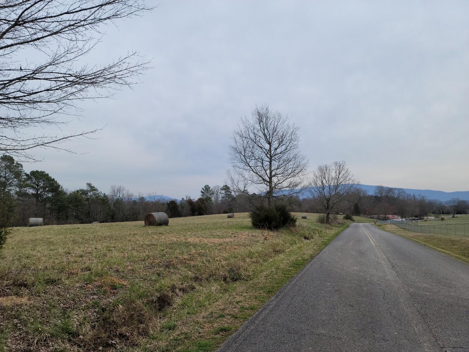 5-acres Athens Road Delano, TN 37325 - Photo 1 of 8 20210311_113035