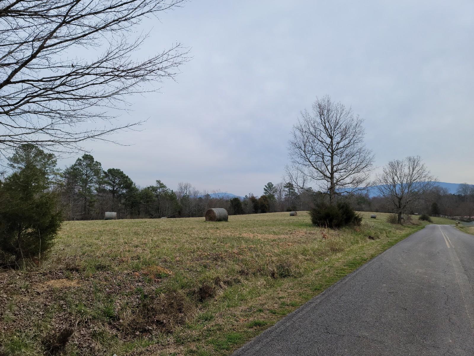 5-acres Athens Road Delano, TN 37325 - Photo 2 of 8 20210311_113038