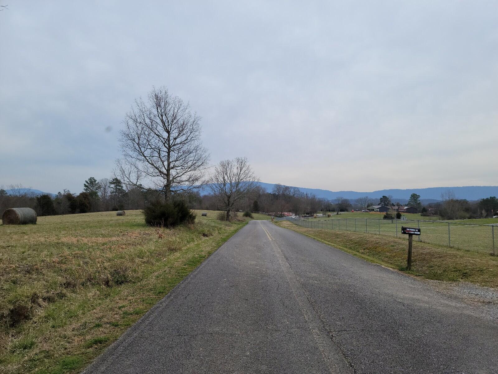 5-acres Athens Road Delano, TN 37325 - Photo 3 of 8 20210311_113042
