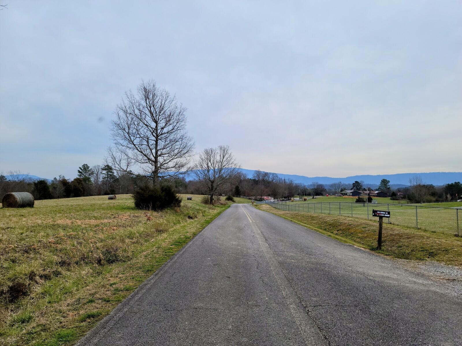 5-acres Athens Road Delano, TN 37325 - Photo 4 of 8 20210311_113042_2