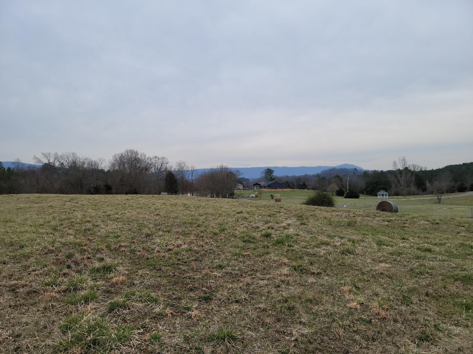 5-acres Athens Road Delano, TN 37325 - Photo 5 of 8 20210311_113141