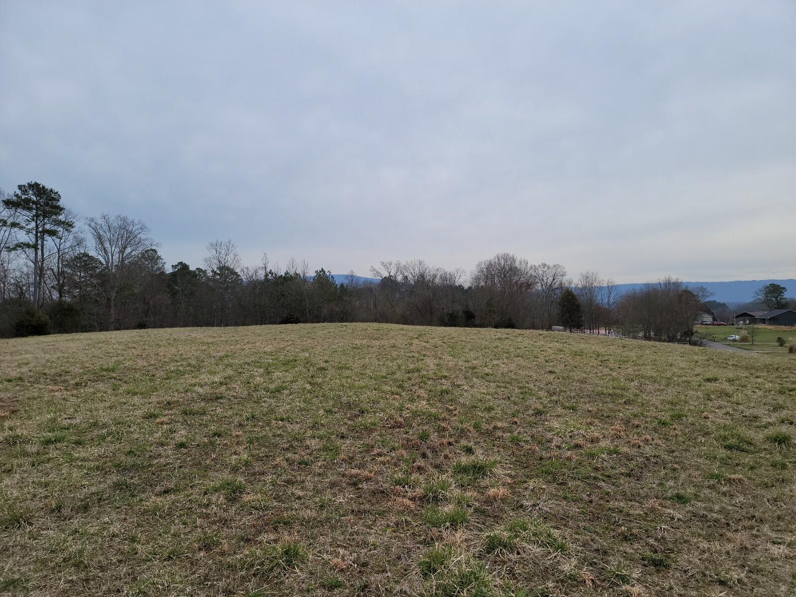 5-acres Athens Road Delano, TN 37325 - Photo 6 of 8 20210311_113144