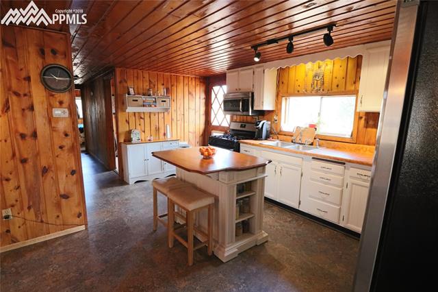 64 Arrowhead Road Florissant, CO 80816 - Photo 4 of 18 Gallery Image 4
