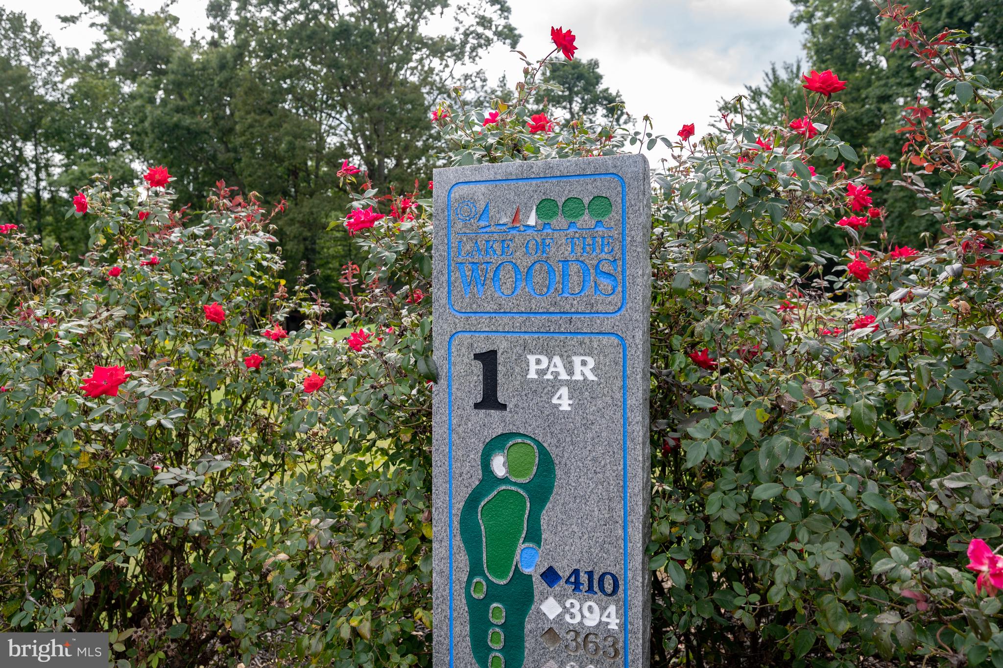 205 Monument Road Locust Grove, VA 22508 - Photo 38 of 49