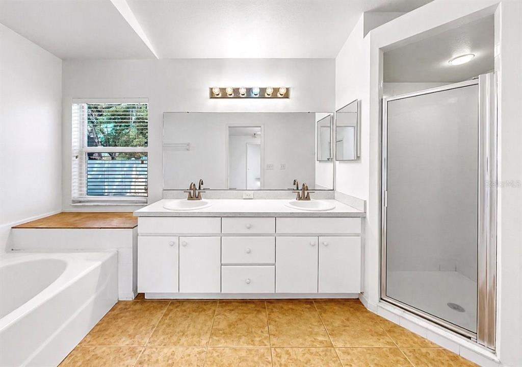 10725 Deepbrook Drive Riverview, FL 33569 - Photo 33 of 67 a spacious bathroom with a tub sink and mirror