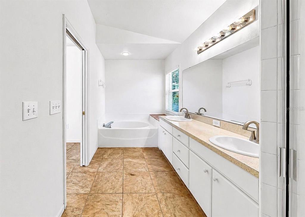 10725 Deepbrook Drive Riverview, FL 33569 - Photo 35 of 67 a spacious bathroom with a tub sink and mirror