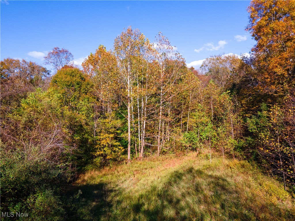 0 Clark Road Cutler, OH 45724 - Photo 22 of 26 View of wooded area