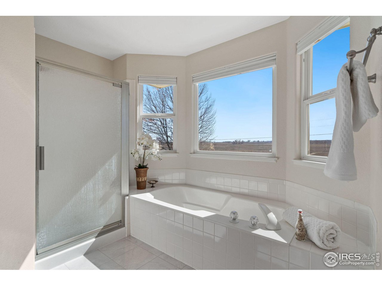 2444 Eagleview Circle Longmont, CO 80504 - Photo 19 of 37 5 Piece Primary Bathroom