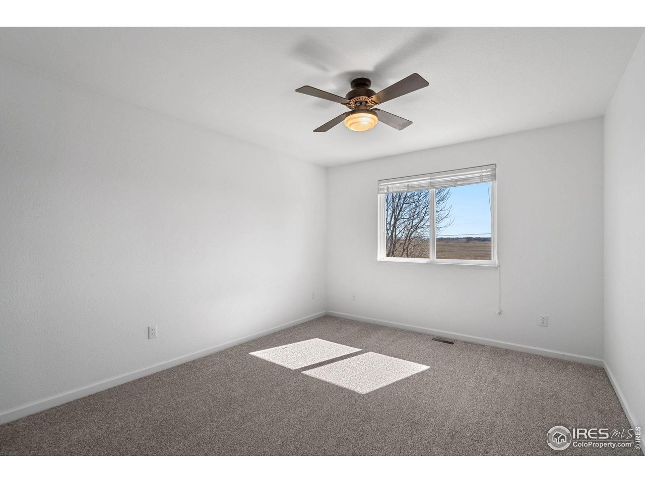 2444 Eagleview Circle Longmont, CO 80504 - Photo 22 of 37 Bedroom 3