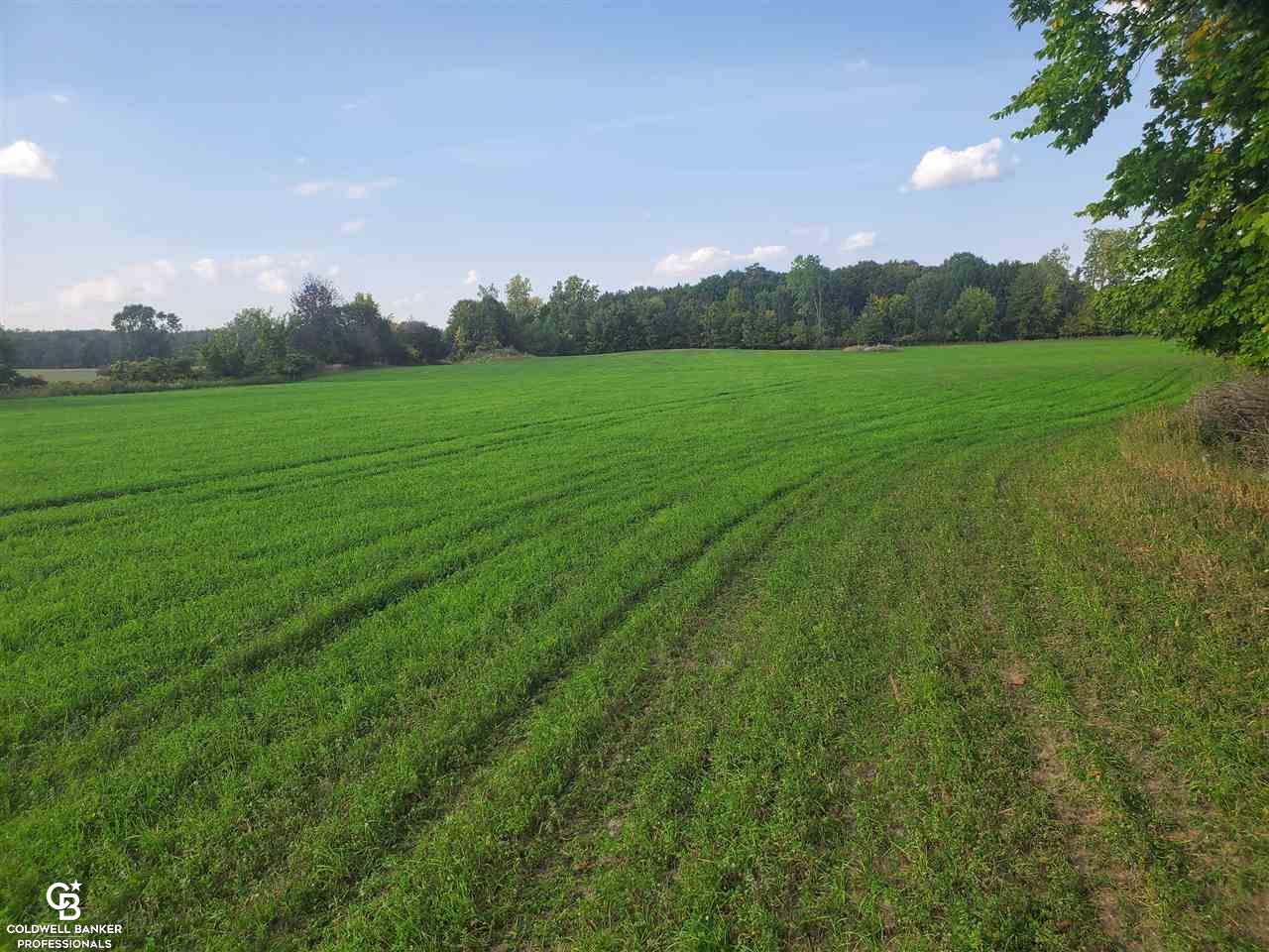 600 West Galbraith Line Road Melvin, MI 48454 - Photo 20 of 54 Gallery Image 20