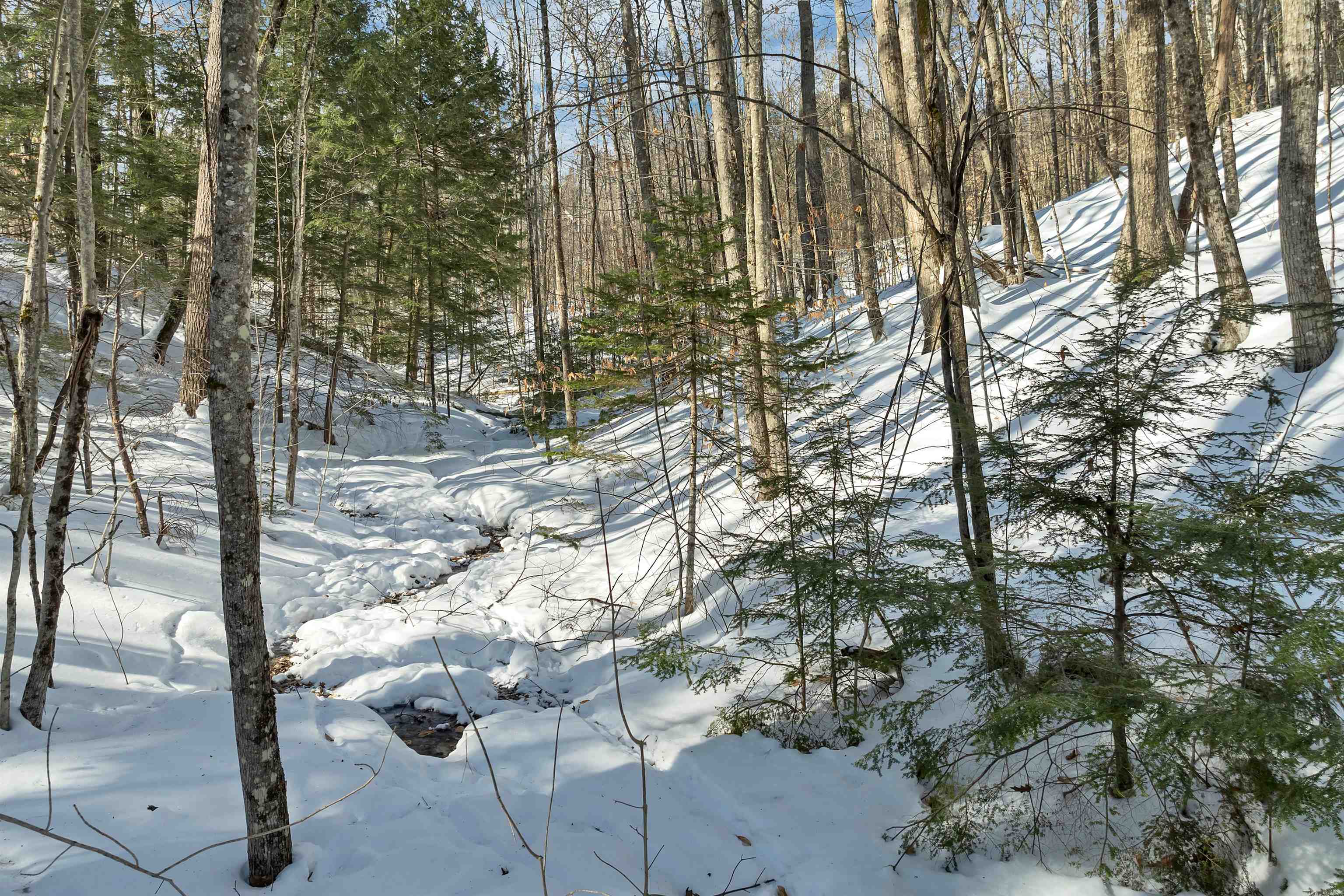 13-1 Page Road Campton, NH 03223 - Photo 8 of 9 Gallery Image 8