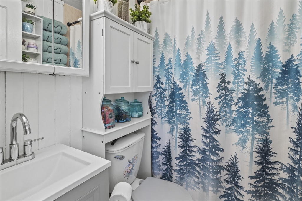 170 Stafford Street Worcester, MA 01603 - Photo 23 of 29 a bathroom with a toilet and a sink