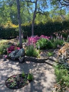 3169 Ridgeview Drive El Dorado Hills, CA 95762 - Photo 34 of 46 a view of a garden with flowers and trees
