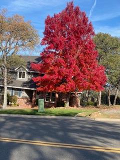3169 Ridgeview Drive El Dorado Hills, CA 95762 - Photo 36 of 46 a front view of a house with a yard