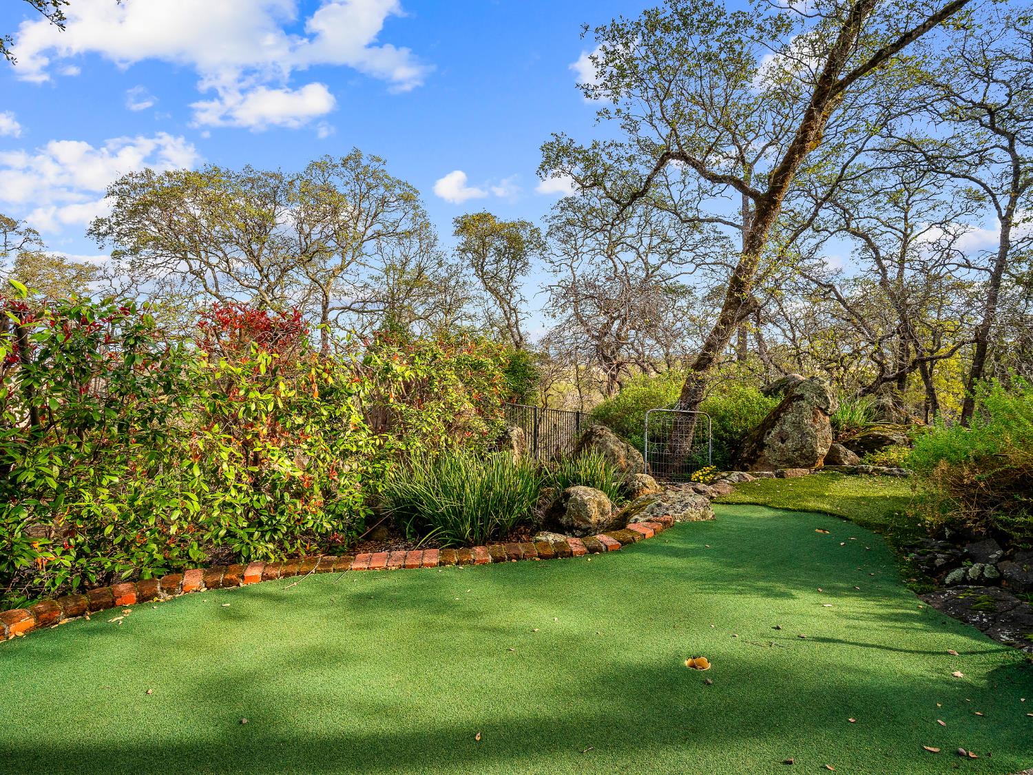 3169 Ridgeview Drive El Dorado Hills, CA 95762 - Photo 5 of 46