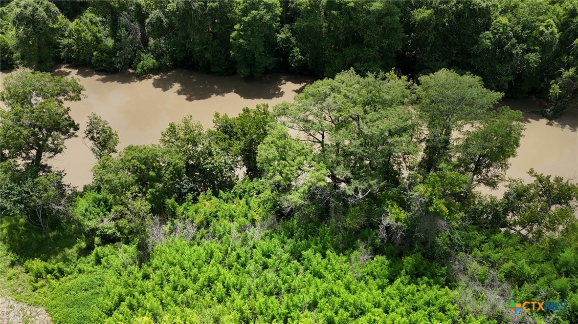 340 Cypress Valley Road Cuero, TX 77954 - Photo 14 of 23 a view of a lake with a tree