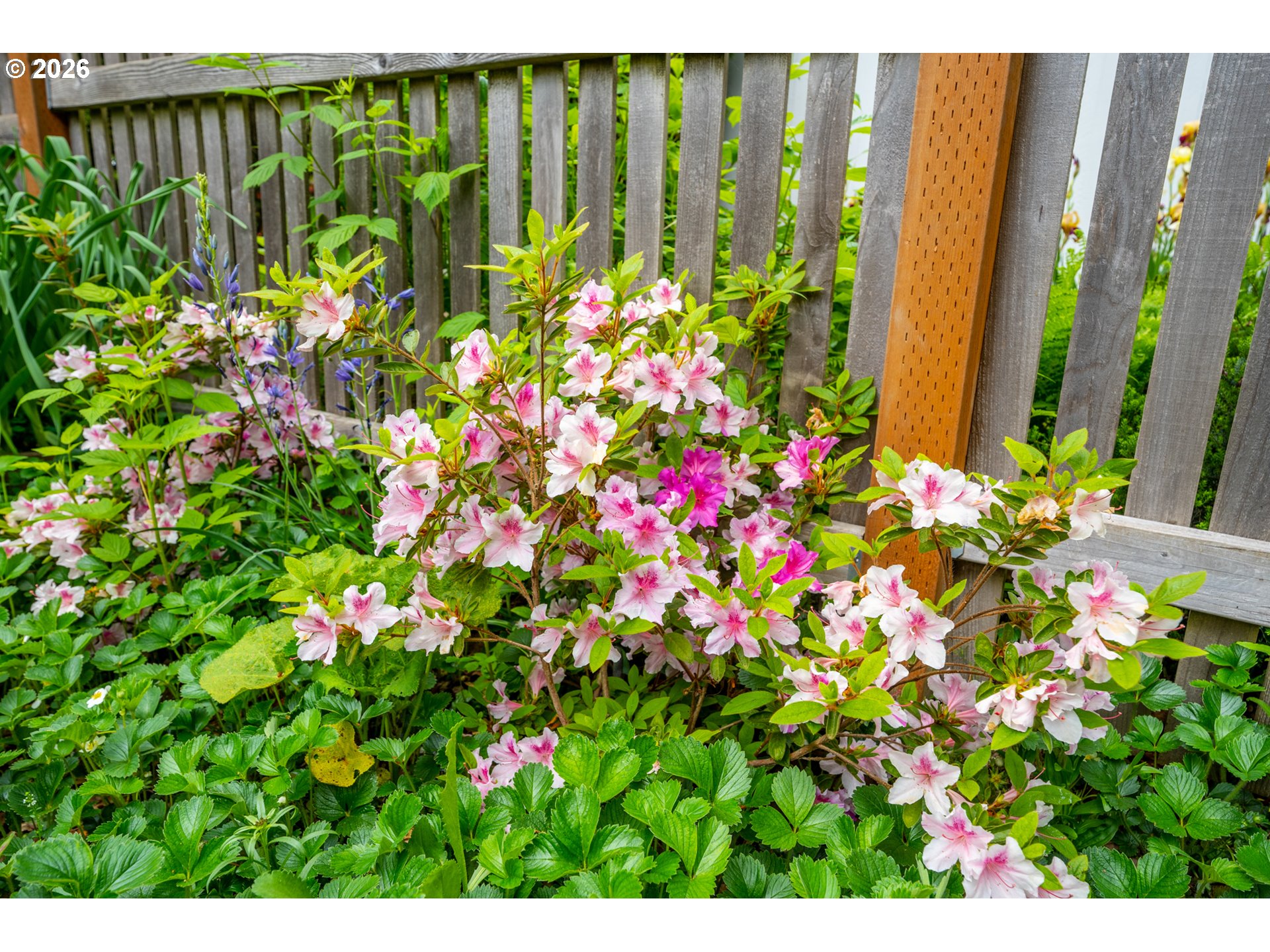 1480 Northwest 130th Avenue Portland, OR 97229 - Photo 46 of 48