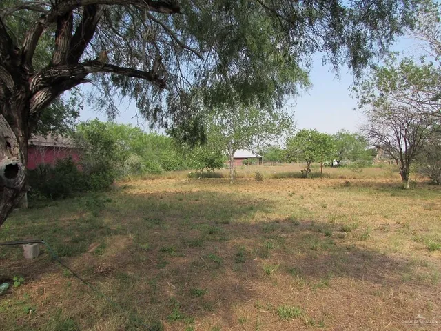a view of dirt yard with a large tree