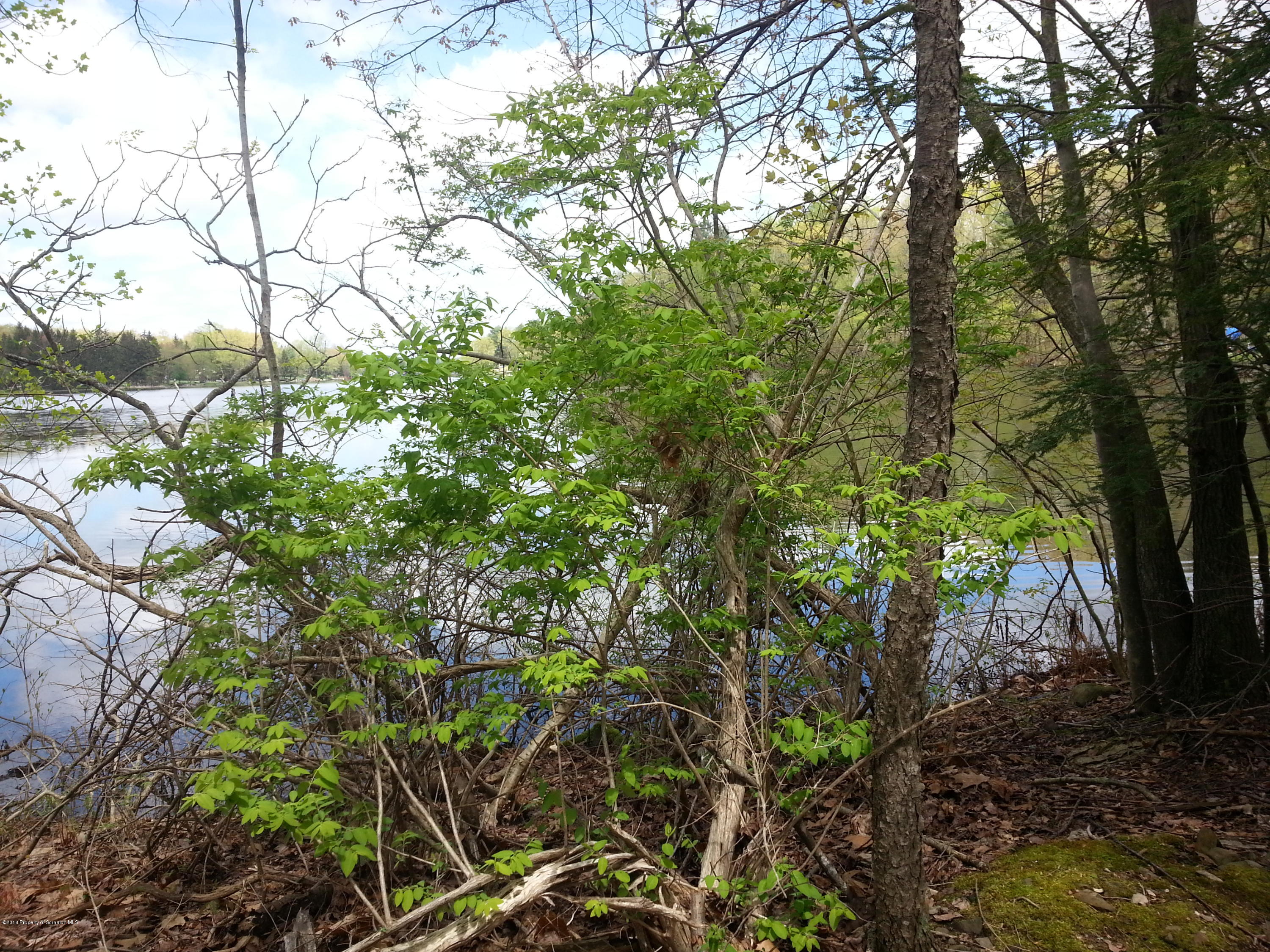 9 Cove Road Tunkhannock, PA 18657 - Photo 8 of 10 a view of tree
