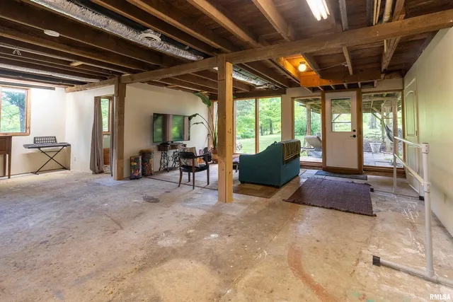 a view of a plant in a field