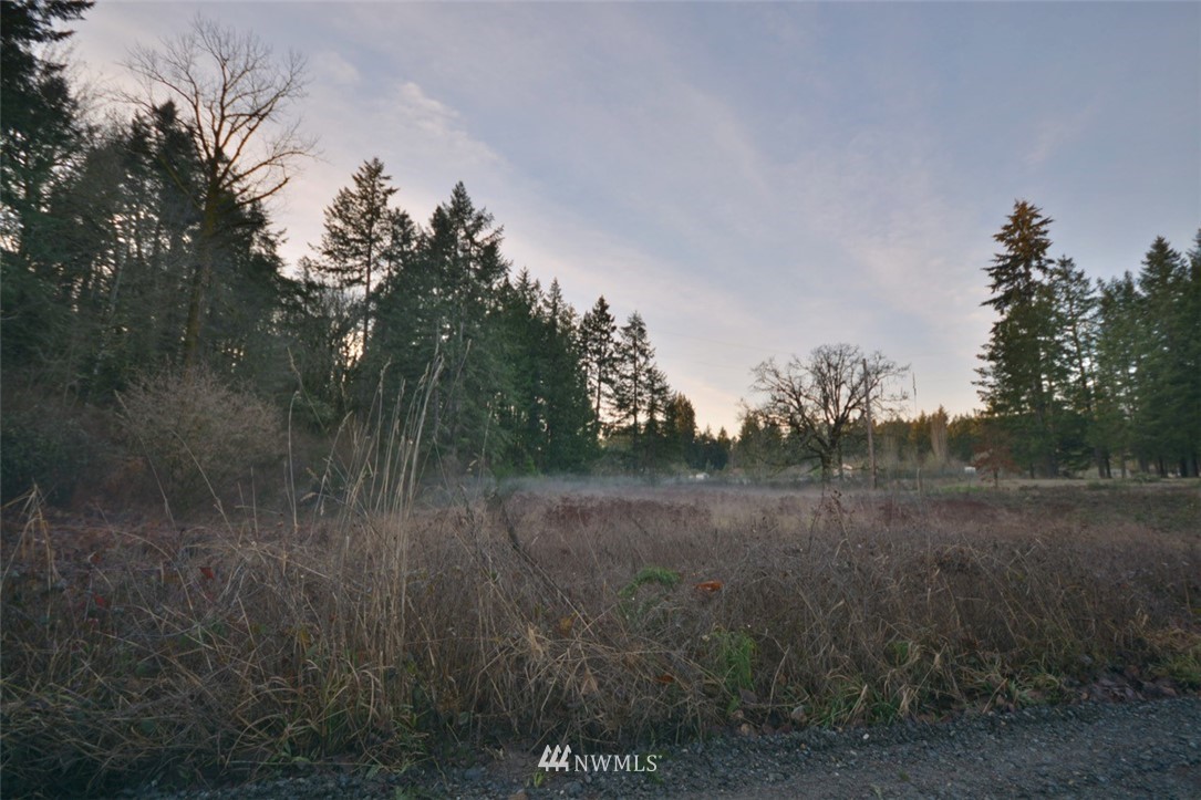 11136 Clark Road Southeast Yelm, WA 98597 - Photo 11 of 13 Gallery Image 11