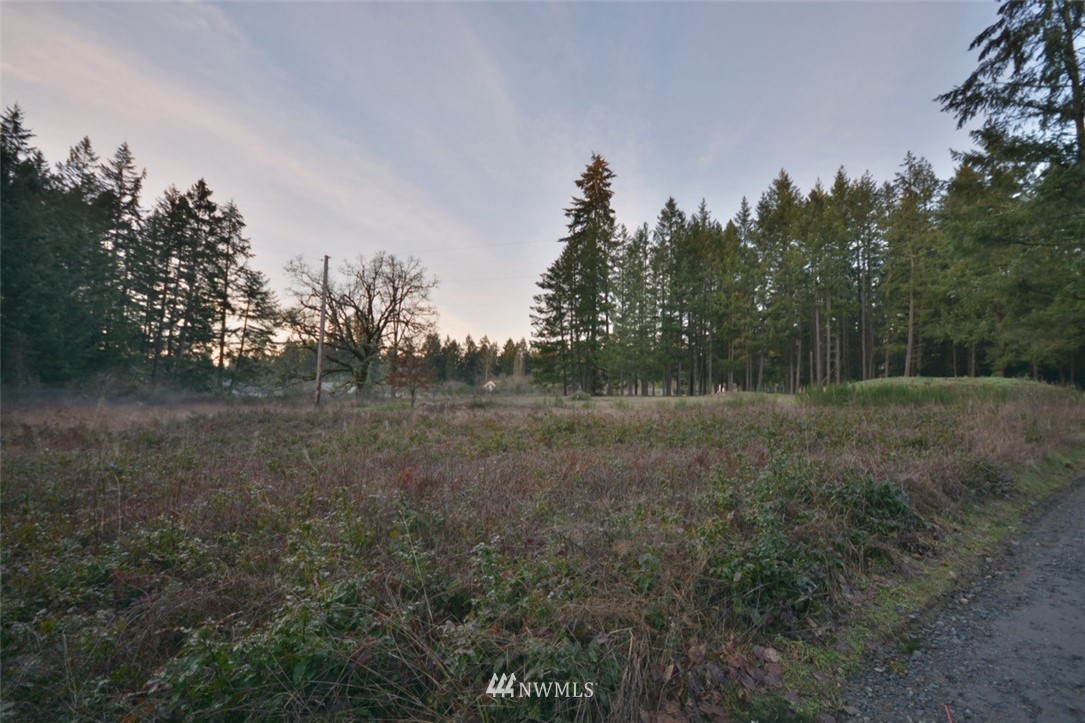 11136 Clark Road Southeast Yelm, WA 98597 - Photo 12 of 13 Gallery Image 12